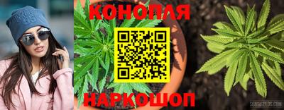 амф Пугачёв