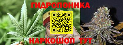 гашик Пыть-Ях