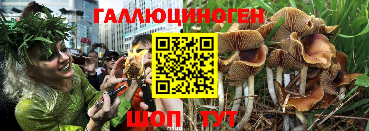 Псилоцибиновые грибы MAGIC MUSHROOMS Новотроицк